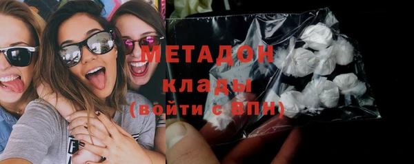 стаф Алзамай