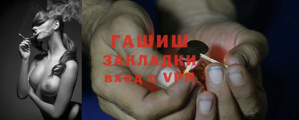 стаф Алзамай