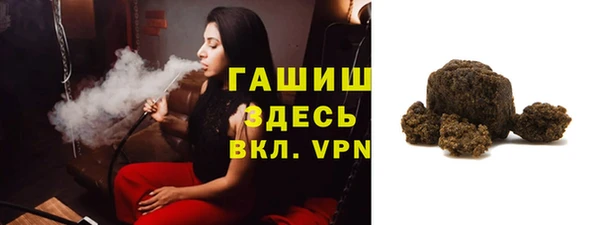 стаф Алзамай