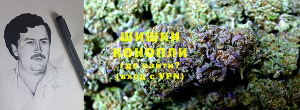 ПСИЛОЦИБИНОВЫЕ ГРИБЫ Алексин