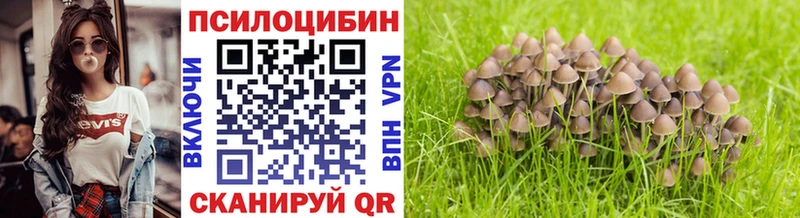 как найти   Крымск  Галлюциногенные грибы MAGIC MUSHROOMS 