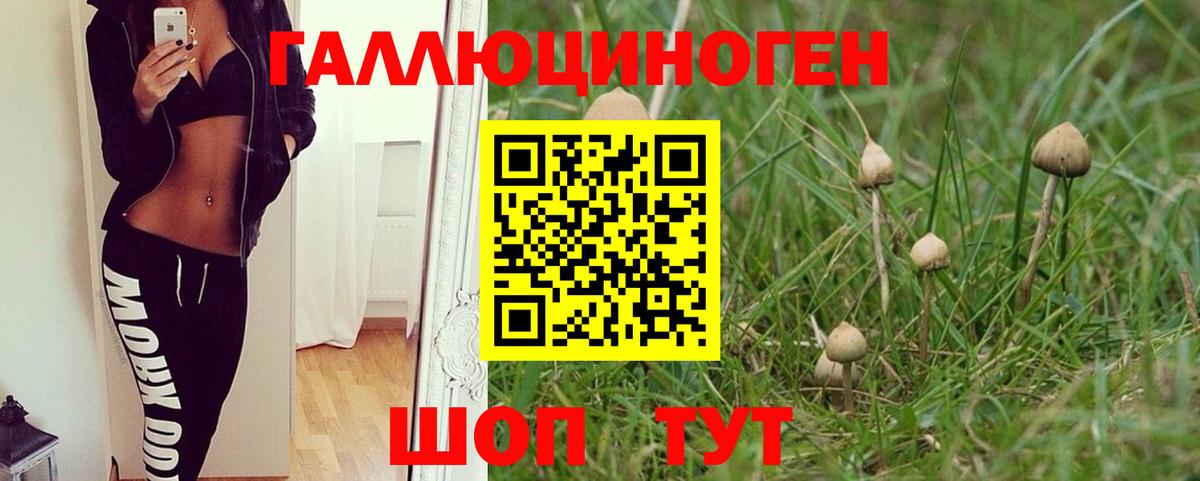 Псилоцибиновые грибы мицелий  Вход с VPN  Крымск 
