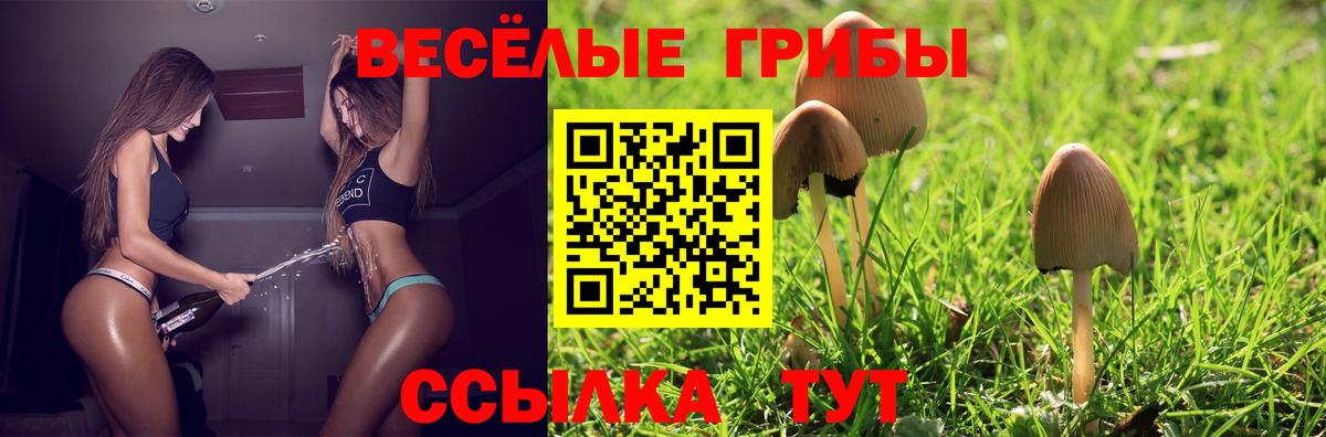 Галлюциногенные грибы Psilocybine cubensis Крымск